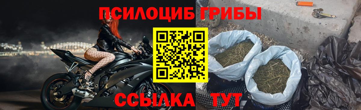 Ялта  Галлюциногенные грибы MAGIC MUSHROOMS  Вход с VPN 